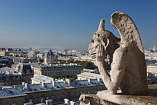 滴水兽,远眺,巴黎,法国