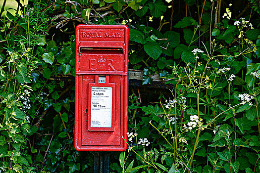 皇家,邮件,邮筒,英国,欧洲