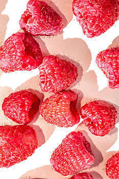 美味诱人的树莓