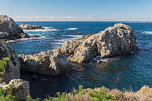 斑海豹,游泳,中国湾,罗伯士角州立保护区,加利福尼亚,美国
