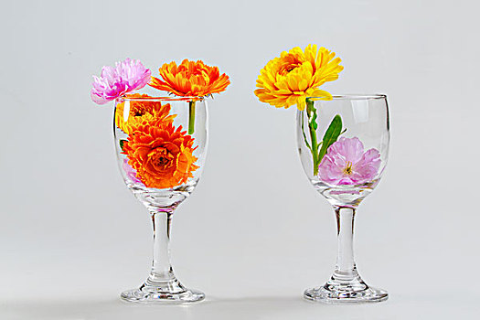 玻璃酒杯中的插花