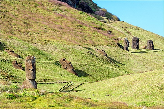 复活节岛石像,拉诺拉拉库采石场