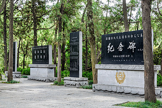 白居易墓园碑林,中国河南省洛阳市龙门东山琵琶峰