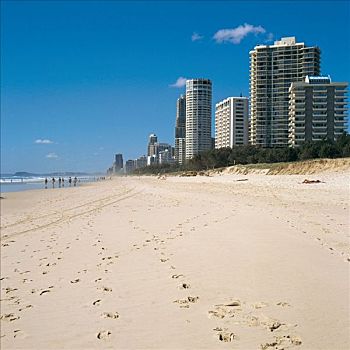 酒店,海滩,假日,冲浪者天堂,澳大利亚