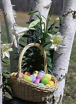 特写,复活节彩蛋,篮子