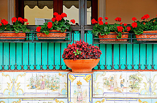 花,篮子,窗台,卡普里岛,意大利