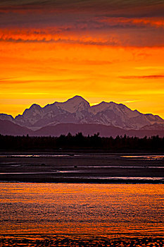 彩色,红色,日落,后面,山峦,三文鱼,冰河湾国家公园,保存,东南阿拉斯加,夏天