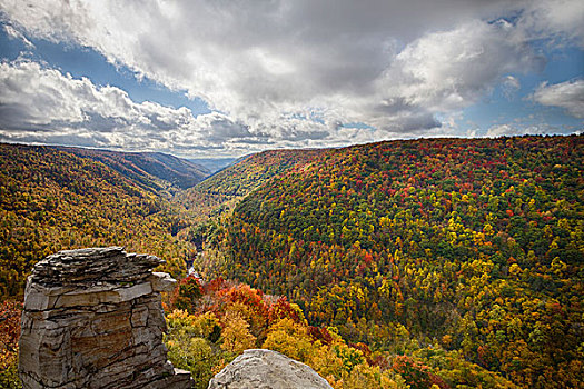美国,西维吉尼亚,山谷,峡谷,风景,秋天,州立公园