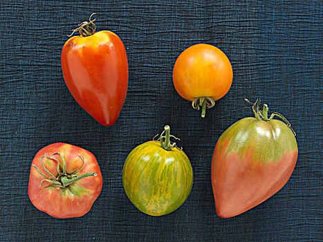 种类,旧式,有机,西红柿