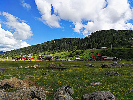 四川西部,道浮,律科草原,雪山,佛塔,草原,牦牛,花海,马匹,彩虹