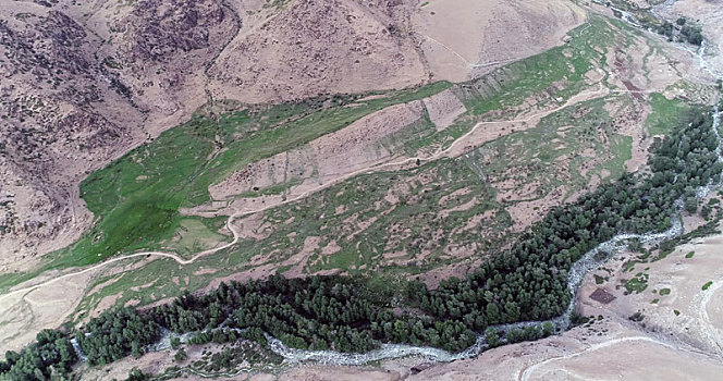 新疆哈密,干旱天气下的天山河谷绿意盎然