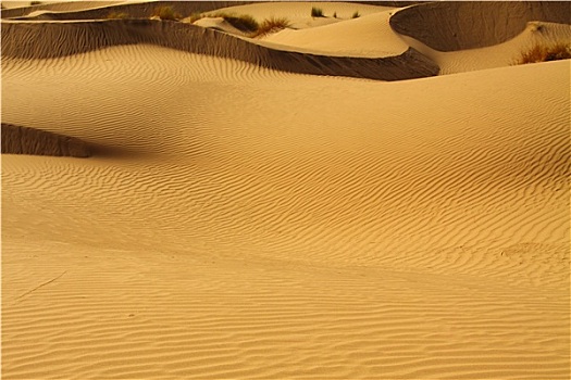 撒哈拉沙漠,摩洛哥