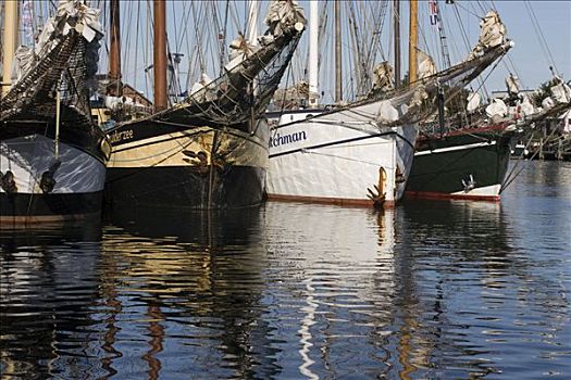 传统,帆船,港口,波罗的海,石荷州,北德,欧洲