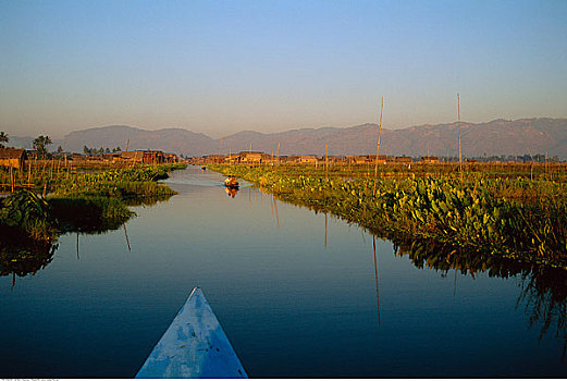 人,泛舟,茵莱湖,缅甸