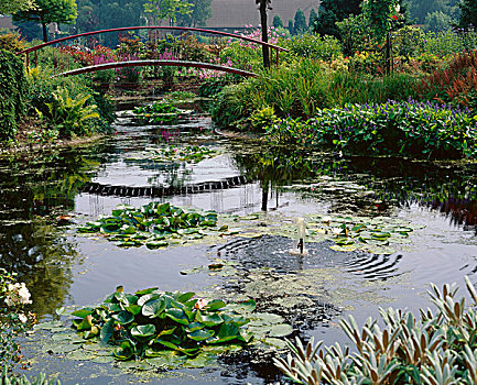 水塘,植物,桥