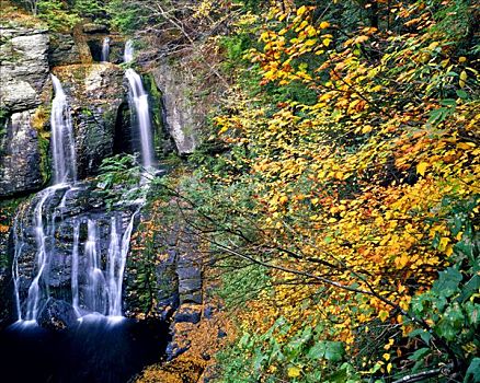 秋天,瀑布,特拉华州,河谷,国家休闲度假区,宾夕法尼亚