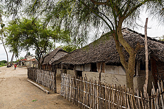 非洲,莫桑比克,岛屿,传统,茅草屋顶,建筑