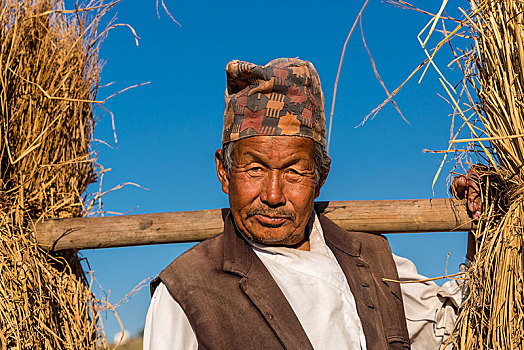 农民,家,加德满都山谷,尼泊尔,亚洲
