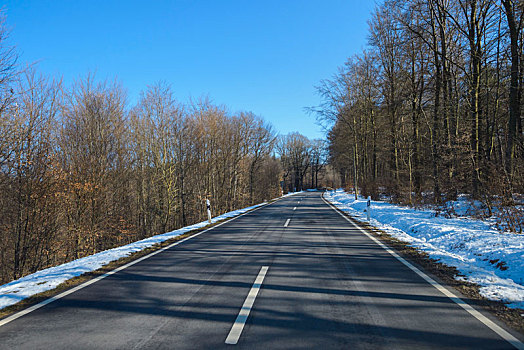 乡间小路,树林,冬天,奥登瓦尔德,黑森州,德国