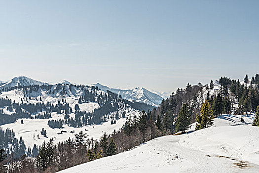 积雪,风景,奥地利