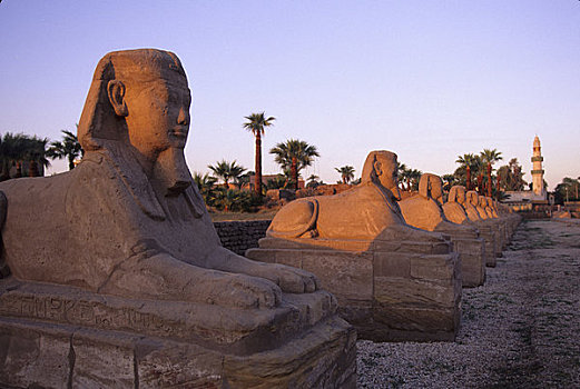 埃及,尼罗河,路克索神庙,卢克索神庙,道路,排列,狮身人面像