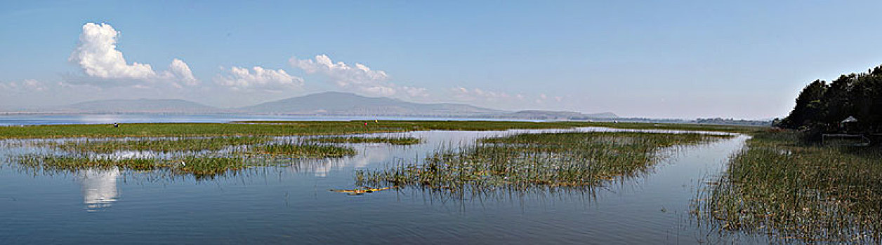 埃塞俄比亚,全景,湖