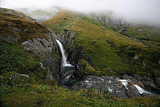 瀑布,河,靠近,高原,草原,提契诺河,瑞士,欧洲