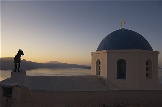 狗,教堂,圆顶,晨光,锡拉岛,基克拉迪群岛,爱琴海,希腊