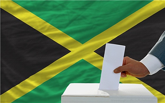 男人,投票,选举,牙买加,正面,旗帜