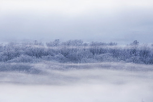 风景,冬天