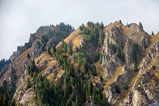 新疆美景