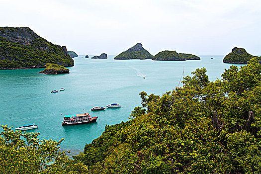 船,海岸线,绿色,泻湖,树,南海,泰国,苏梅岛,湾