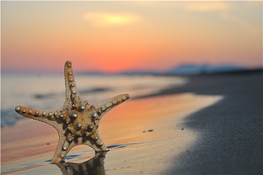 夏天,海滩,日落,星