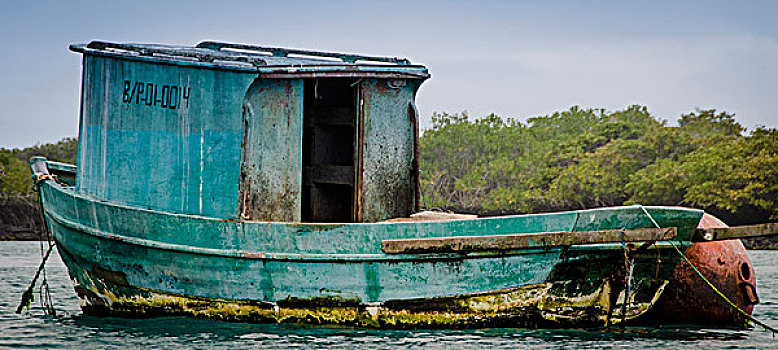 加拉帕戈斯群岛,厄瓜多尔,岛屿,老,渔船,漂浮
