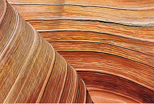 沙岩构造,弗米利恩崖,犹他,美国