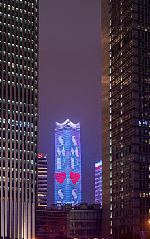 上海白玉兰广场大厦