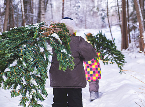 男孩,女孩,走,积雪,树林,圣诞树,后视图