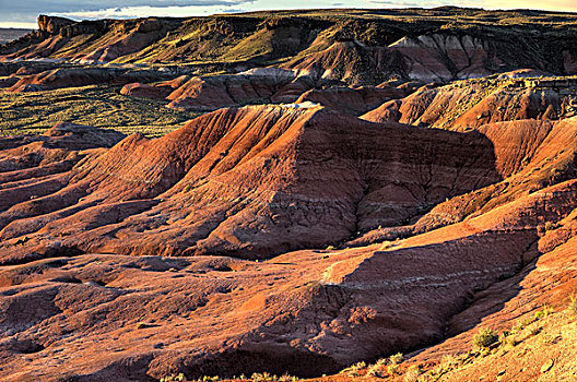 红色,涂绘,荒芜,石化森林国家公园,亚利桑那