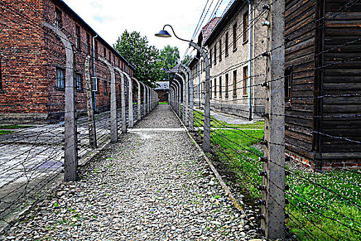 死亡工厂奥斯维辛集中营