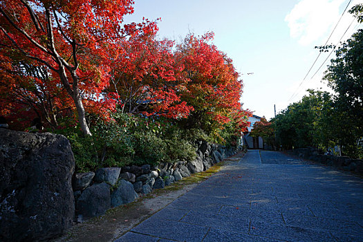 日本京都岚山