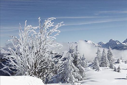 冬季风景,山,靠近,加米施帕藤基兴,陆地,上巴伐利亚,巴伐利亚,德国