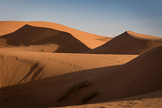 沙丘,摩洛哥,撒哈拉沙漠