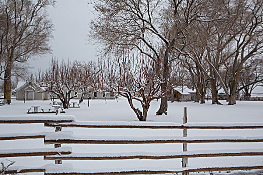 内华达,美国,第一,雪,公园,遮盖,白色