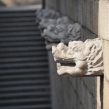龙,雕塑,排列,中国