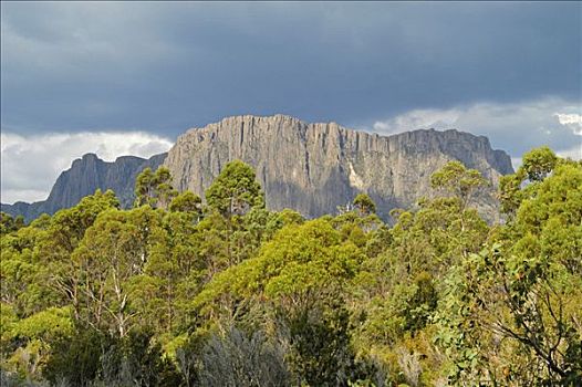 教堂山,奥弗兰,摇篮山,国家公园,塔斯马尼亚,澳大利亚
