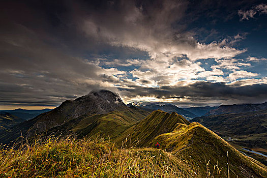 攀登,草,顶峰,山脊,阿尔卑斯山,奥地利,欧洲