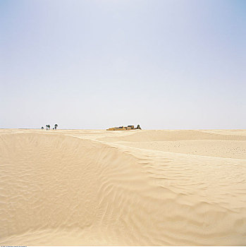 沙漠,杜兹,突尼斯,非洲