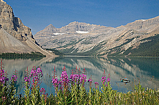 捕鱼者,弓湖,班芙国家公园,艾伯塔省,加拿大