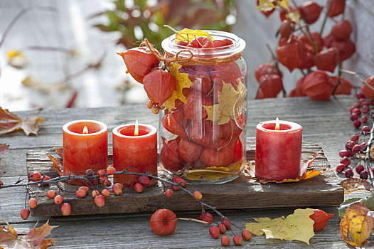 木碗,酸浆属植物,罐,红色,蜡烛