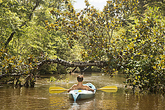 少男,皮筏艇,溪流,佛罗里达,美国
